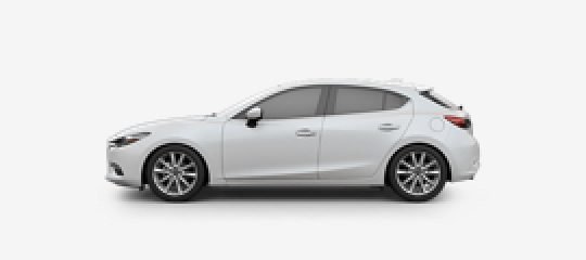 Orta Segment